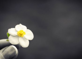 Óbitos registrados nesta quarta-feira (17) em Guarapuava pela Central de Triagem