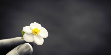 Óbitos registrados nesta quarta-feira (17) em Guarapuava pela Central de Triagem