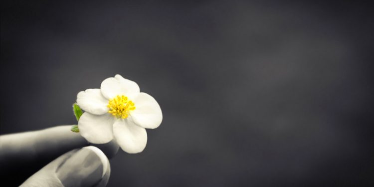 Óbitos registrados nesta quarta-feira (17) em Guarapuava pela Central de Triagem