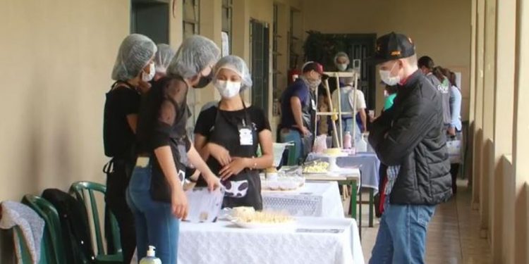 Colégio Agrícola de Guarapuava abre inscrições para 160 vagas em cursos técnicos