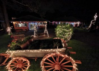 CONCURSO BRILHA GUARAPUAVA TEM INSCRIÇÕES PRORROGADAS ATÉ A PRÓXIMA QUINTA-FEIRA (16) 