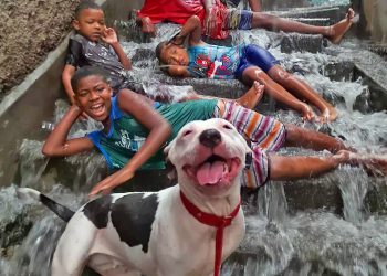 Foto de crianças na chuva e cachorro sorrindo em comunidade do Rio viraliza: ‘Estavam todos felizes’, diz jovem fotógrafa