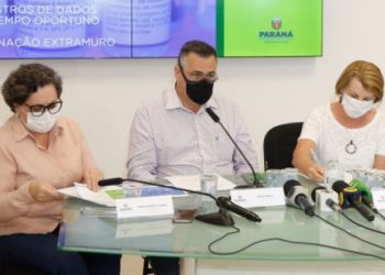 INFLUENZA EM GUARAPUAVA