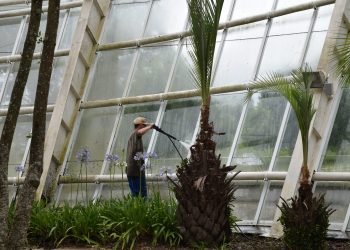 OBRAS DO JARDIM EUROPEU NO PARQUE DAS ARAUCÁRIAS VISAM O AUMENTO DE VISITAS DURANTE O VERÃO DE 2022Notícias