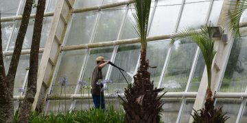 OBRAS DO JARDIM EUROPEU NO PARQUE DAS ARAUCÁRIAS VISAM O AUMENTO DE VISITAS DURANTE O VERÃO DE 2022Notícias