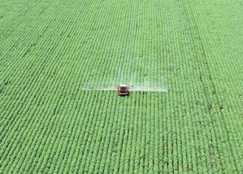 Agronegócio bate recorde de exportações em 2021 e movimenta mais de US$ 102 bilhões