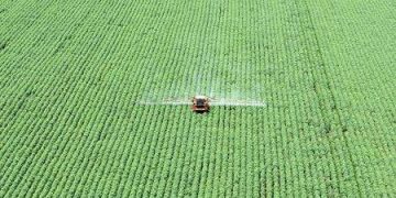 Agronegócio bate recorde de exportações em 2021 e movimenta mais de US$ 102 bilhões