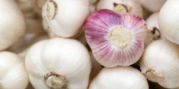 Preços pagos aos produtores de alho, batata e tomate caem em até 41,08%