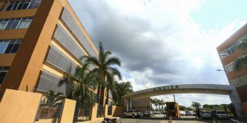 Anvisa aprova nova medicação à base de Cannabis