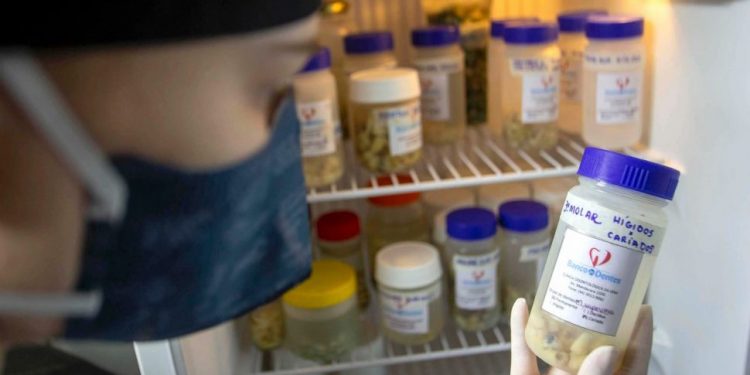 Você sabia que o Paraná tem Banco de Dente Humano? Saiba como fazer doações