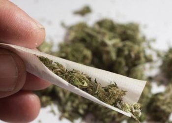 Polícia apreende quase 3 toneladas de maconha em carreta carregada de farinha, em Foz do Iguaçu