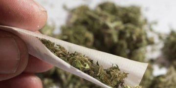 Polícia apreende quase 3 toneladas de maconha em carreta carregada de farinha, em Foz do Iguaçu