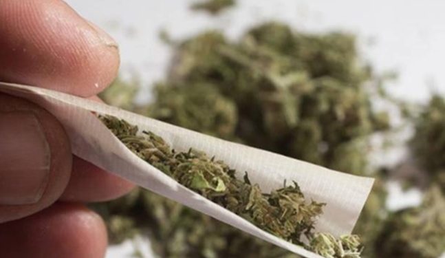 Polícia apreende quase 3 toneladas de maconha em carreta carregada de farinha, em Foz do Iguaçu