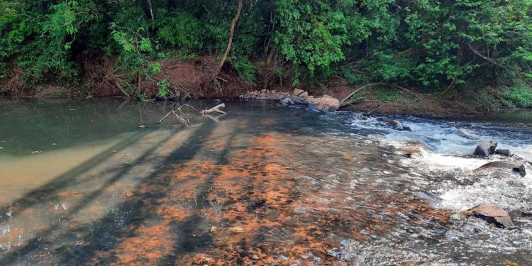 Francisco Beltrão decreta situação de emergência hídrica devido à falta de chuvas