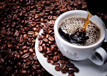 Conexão Agro: Ministério da Agricultura libera crédito bilionário para cultivo de café
