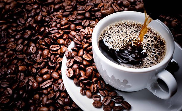 Conexão Agro: Ministério da Agricultura libera crédito bilionário para cultivo de café