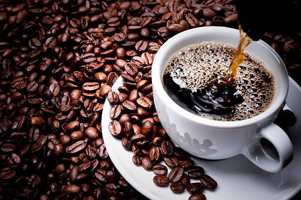 Conexão Agro: Ministério da Agricultura libera crédito bilionário para cultivo de café