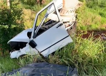 Carro parte ao meio ao bater em árvore, e motorista morre na BR-369