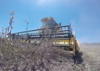 Impactada pela crise hídrica, safra de grãos no Paraná deve ter queda de 3% no volume colhido, prevê Deral