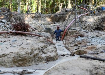 Garimpeiros e pecuaristas querem o status de ‘povos tradicionais’ e comitê analisa; veja em 7 pontos
