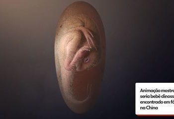 ‘Baby Yingliang’: conheça o fóssil de bebê dinossauro encontrado por cientistas ainda dentro de ovo; assista vídeo