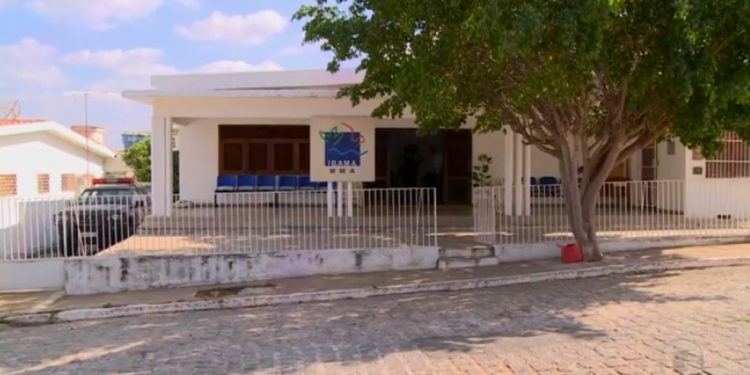 Concurso público do Ibama tem 10 vagas no Paraná; confira o edital