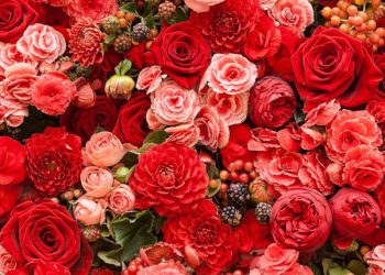 A Central de triagem de Guarapuava comunica os óbitos desta quarta-feira (22)