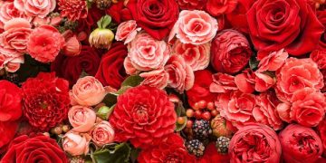 A Central de triagem de Guarapuava comunica os óbitos desta quarta-feira (22)