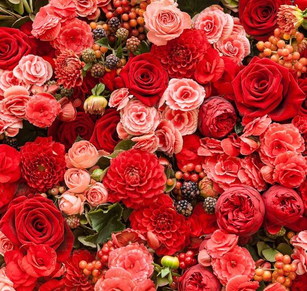 A Central de triagem de Guarapuava comunica os óbitos desta quarta-feira (22)