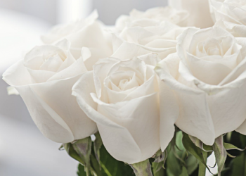 A Central de Triagem de Guarapuava comunica os óbitos deste domingo (05)