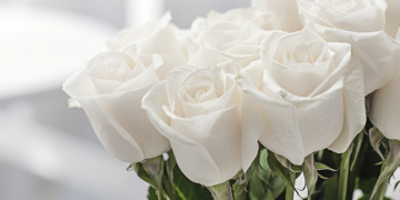 A Central de Triagem de Guarapuava comunica os óbitos deste domingo (05)