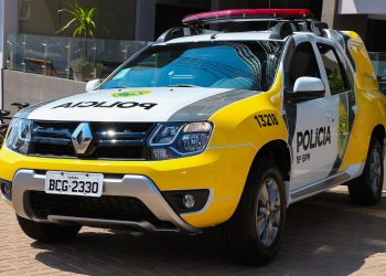 Polícia prende suspeitos de desvio de cargas de ração para frango; prejuízo a produtores chega a R$ 1 milhão, diz MP