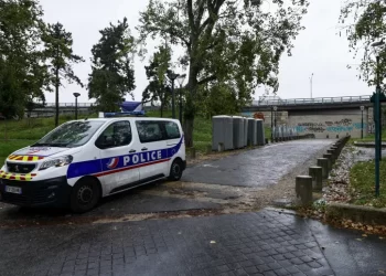 Cem gatos são encontrados mortos na casa de um aposentado na França