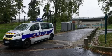 Cem gatos são encontrados mortos na casa de um aposentado na França