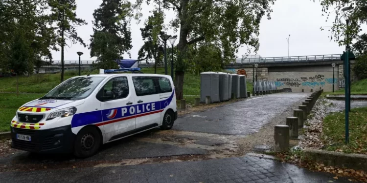 Cem gatos são encontrados mortos na casa de um aposentado na França