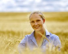 Puxado pela região de Guarapuava, Paraná lidera produção nacional de cevada