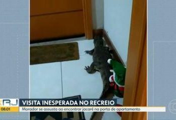 Cuidado! Bicharada tá solta no Réveillon