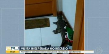 Cuidado! Bicharada tá solta no Réveillon