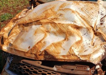 Motorista morre após capotar caminhonete na PR-491