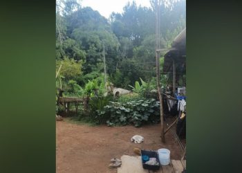 Suspeito de espancar e atear fogo em namorado é preso em Cantagalo
