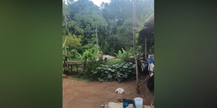 Suspeito de espancar e atear fogo em namorado é preso em Cantagalo