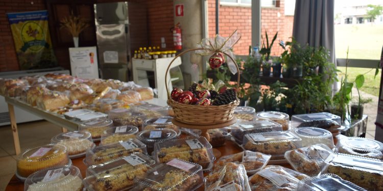 MERCADO PRODUTOS DA TERRA E PROGRAMA ECONOMIA SOLIDÁRIA COMPLETAM DOIS ANOS NESTE SÁBADO (18)