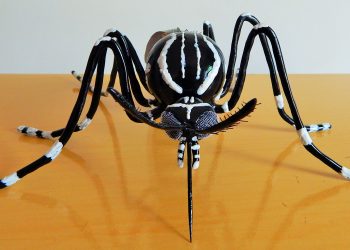 Secretaria de Saúde emite alerta sanitário após registrar recorde de casos de chikungunya em Goiás