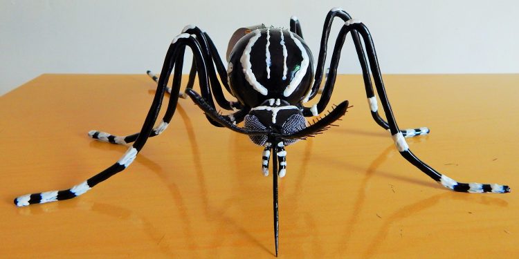 Secretaria de Saúde emite alerta sanitário após registrar recorde de casos de chikungunya em Goiás