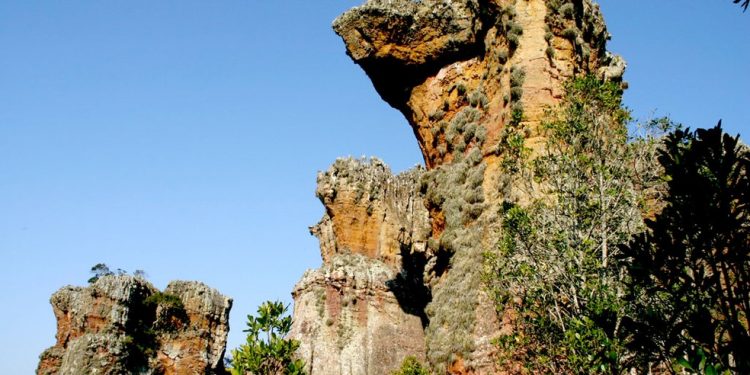 Parques estaduais mudam atendimento durante festas de fim de ano; veja quais abrem