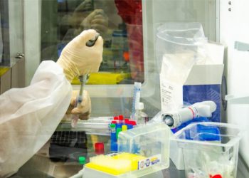 Pesquisa: 94% dos prefeitos defendem passaporte sanitário contra Covid