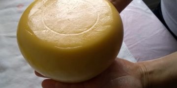 Cooperativas investem R$ 460 milhões em nova queijaria nos Campos Gerais do Paraná