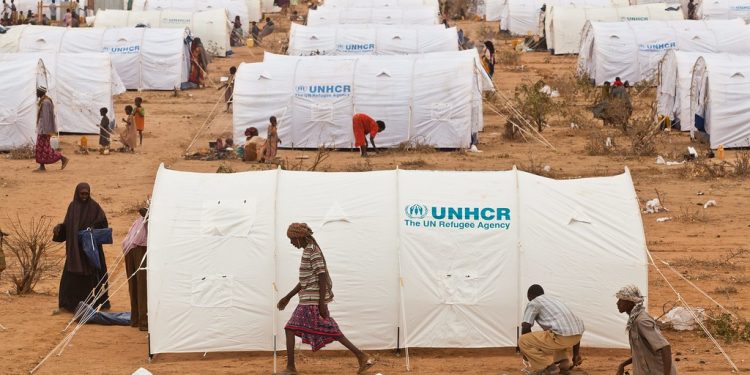 Refugiados não recebem vacinas da Covid porque laboratórios temem processos, mostram documentos