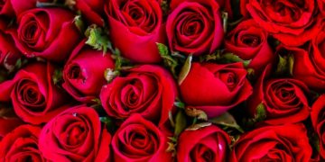 A Central de Triagem de Guarapuava comunica os óbitos desta sábado (11)