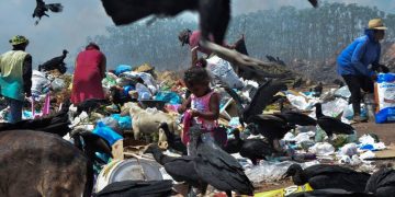 ‘Estou aqui pelos meus filhos’, diz mãe de gêmeos que cata restos de legumes na Ceasa